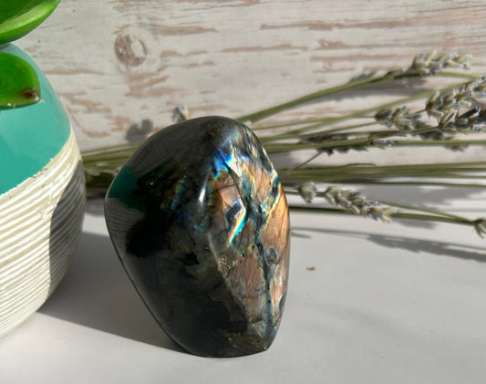 Labradorite Freeform - Intuition Protection Transformation
