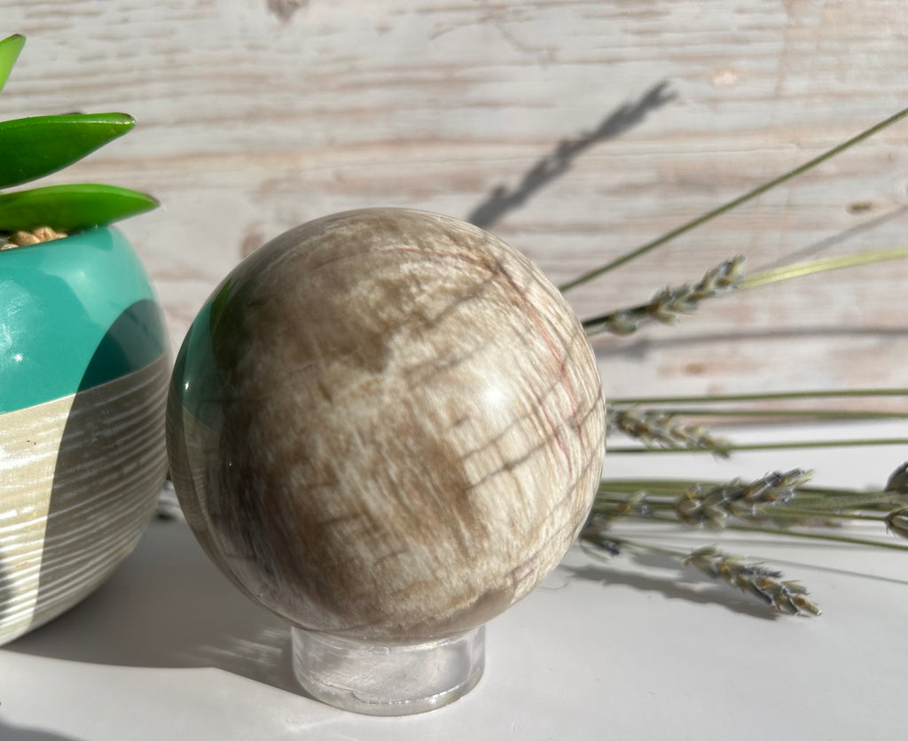Petrified Wood Sphere