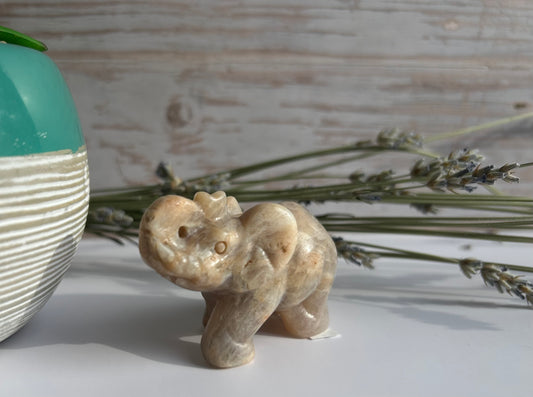 Peach Moonstone Elephant - Divine Feminine Strength Emotional Healing