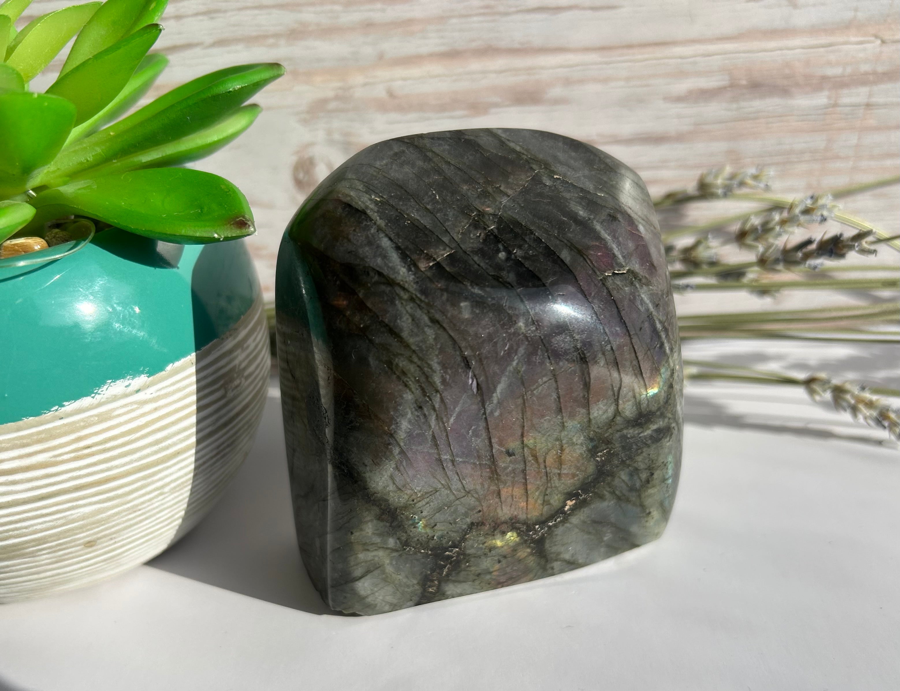 Purple Flash Labradorite Freeform