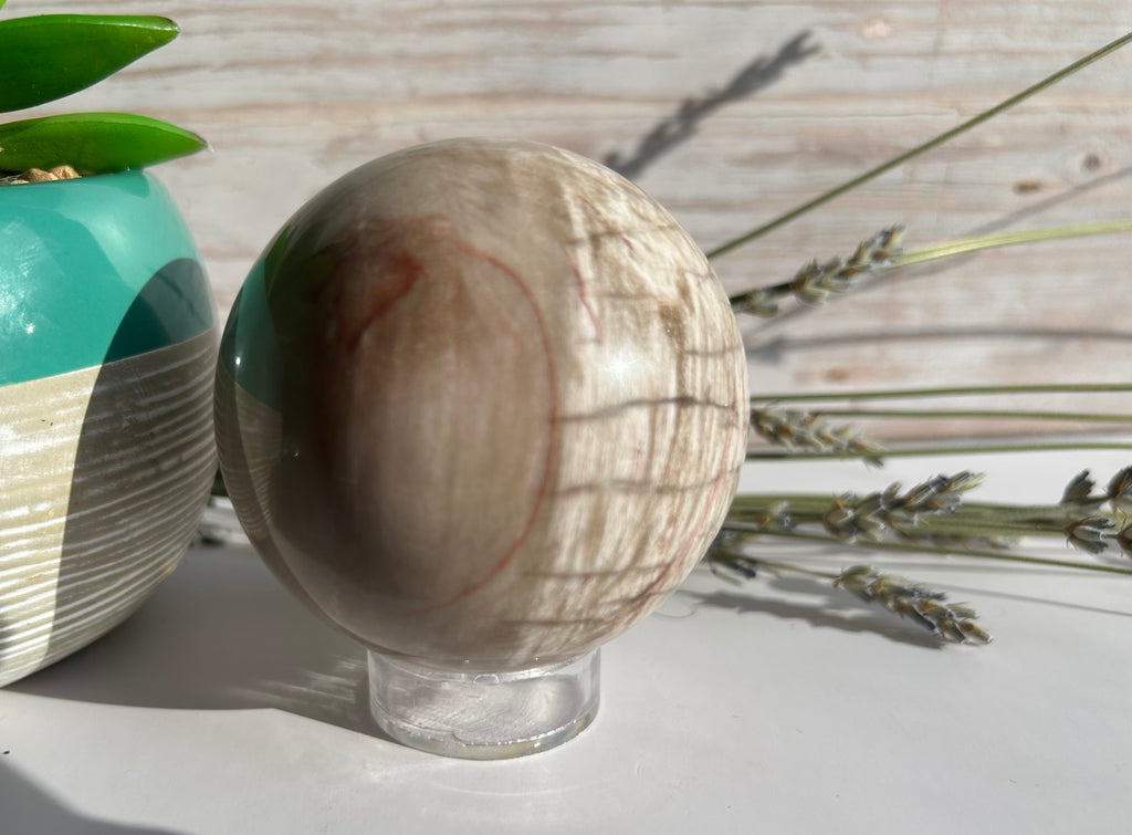 Petrified Wood Sphere