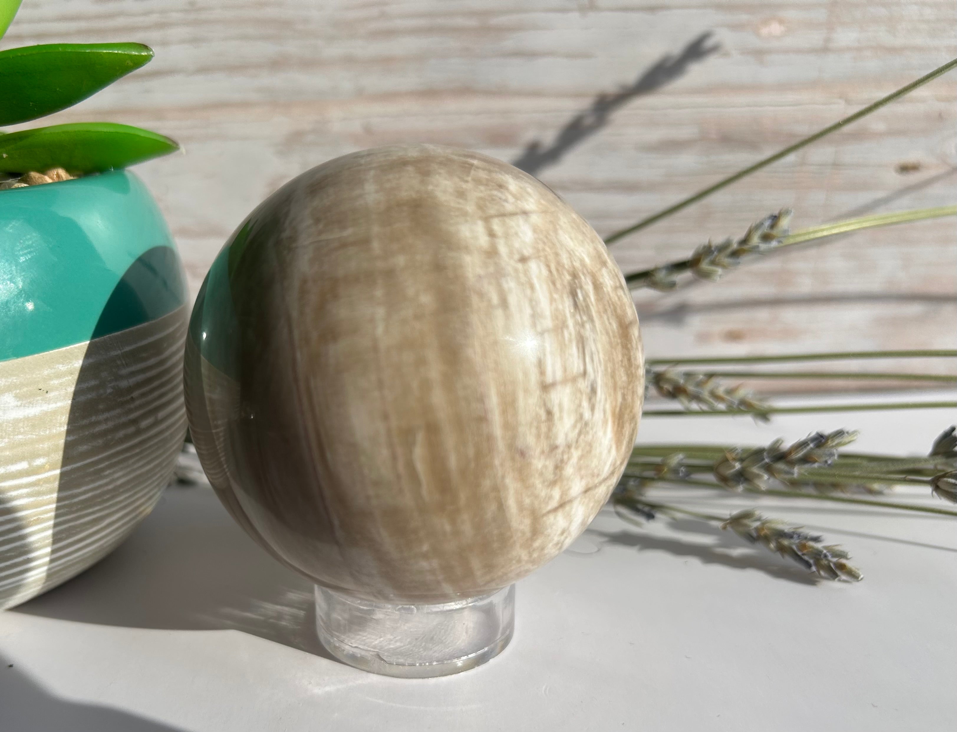 Petrified Wood Sphere