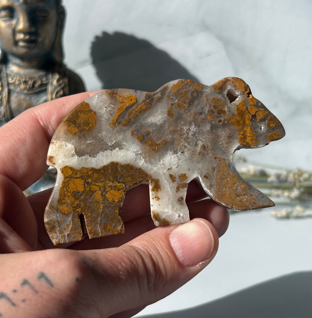 Septarian Bear with Druzy