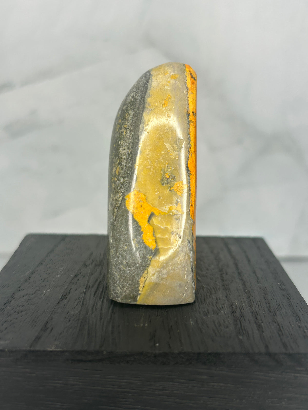 Bumblebee Jasper Freeform