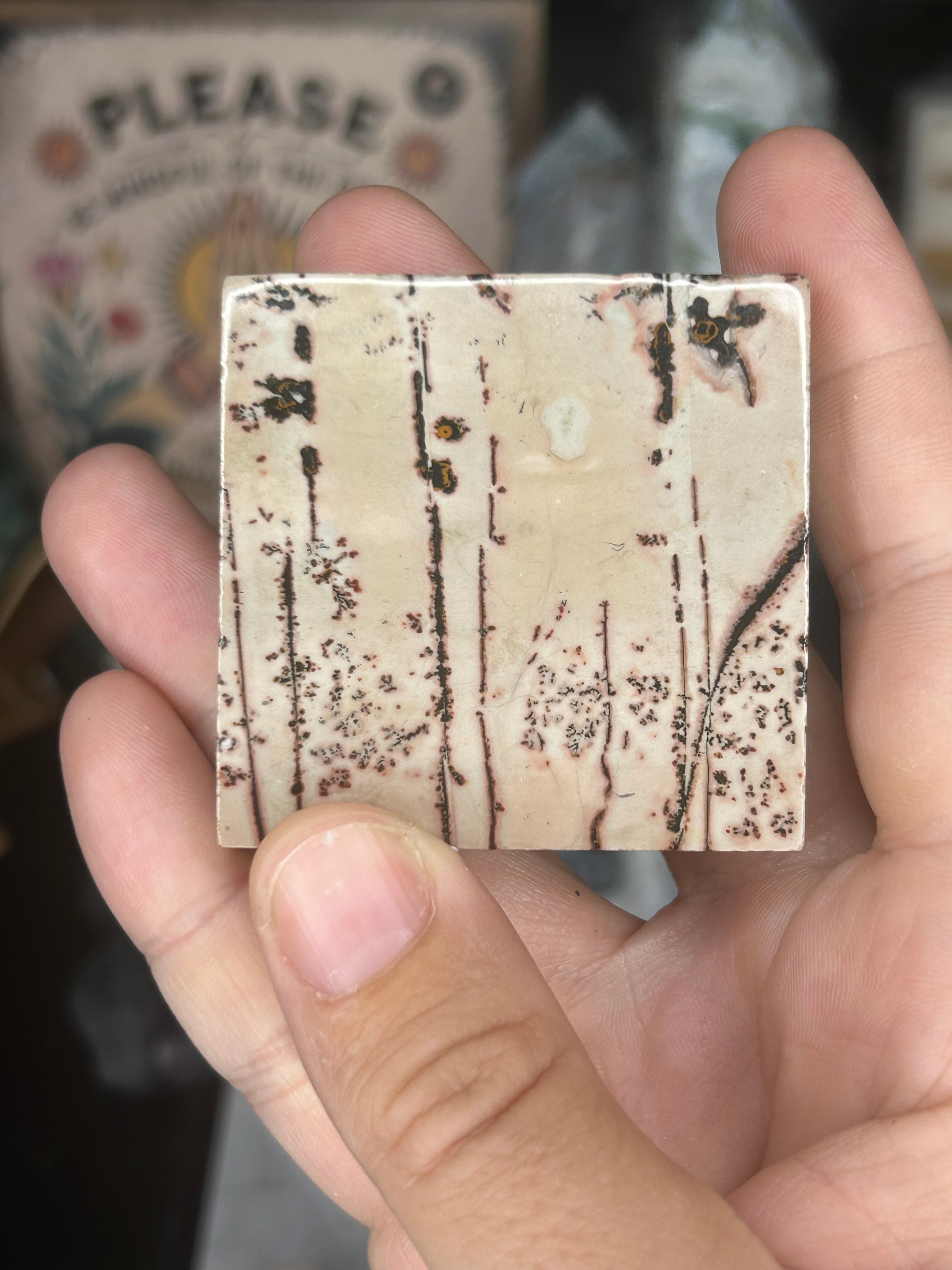 Dendritic Picture Jasper Square