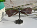 Ocean Jasper Dragonfly