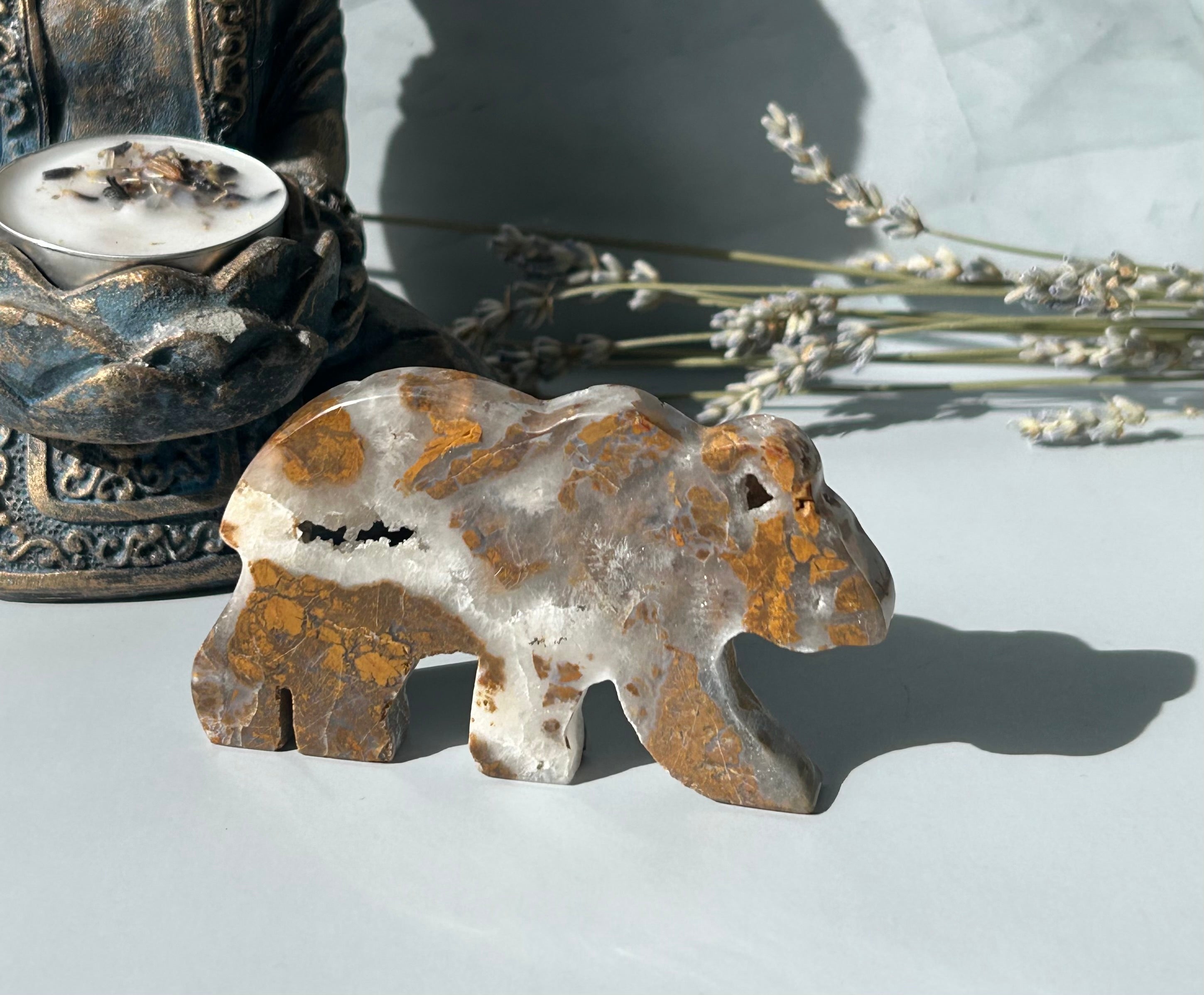 Septarian Bear with Druzy