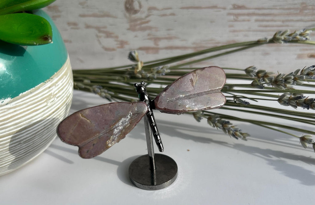 Ocean Jasper Dragonfly