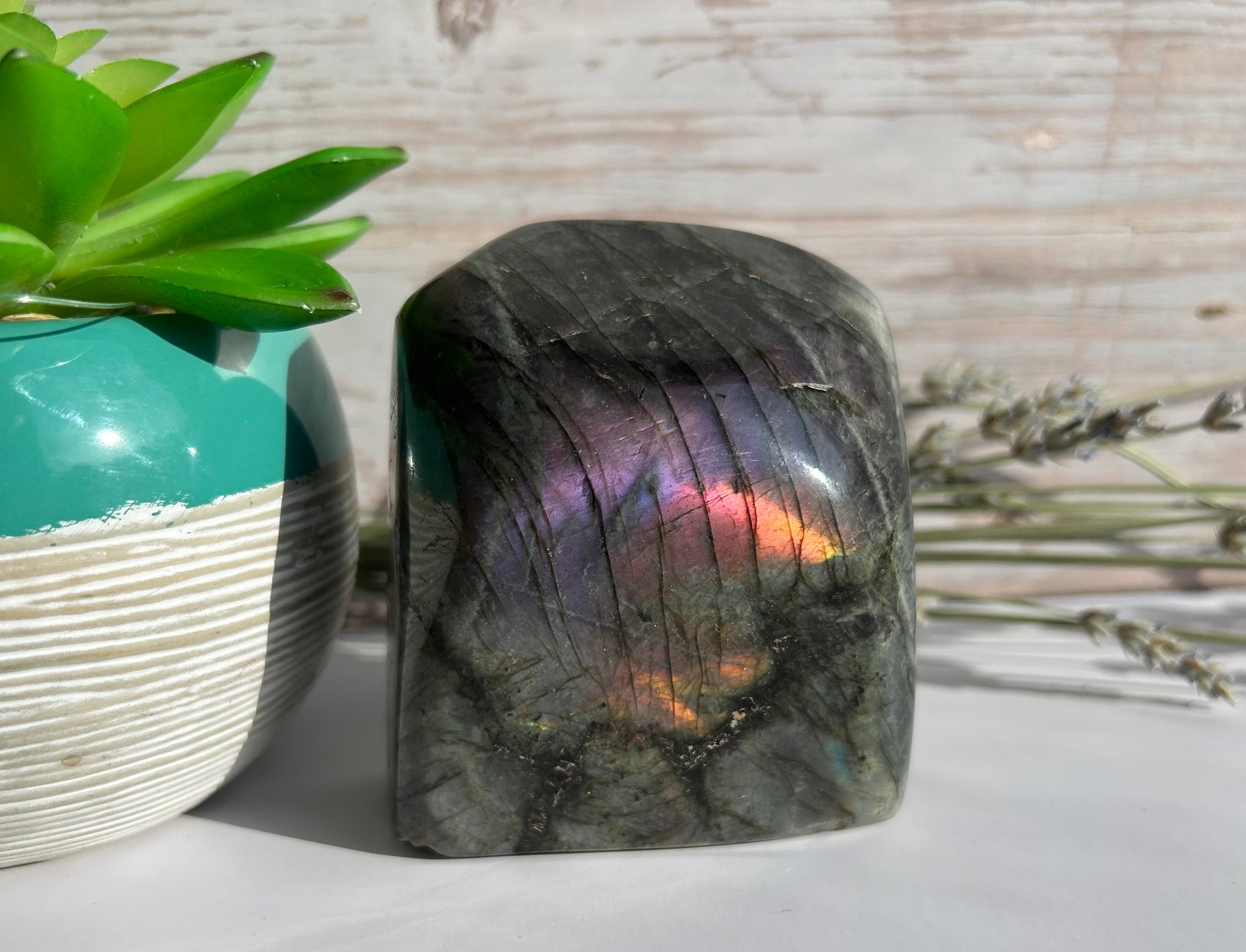 Purple Flash Labradorite Freeform