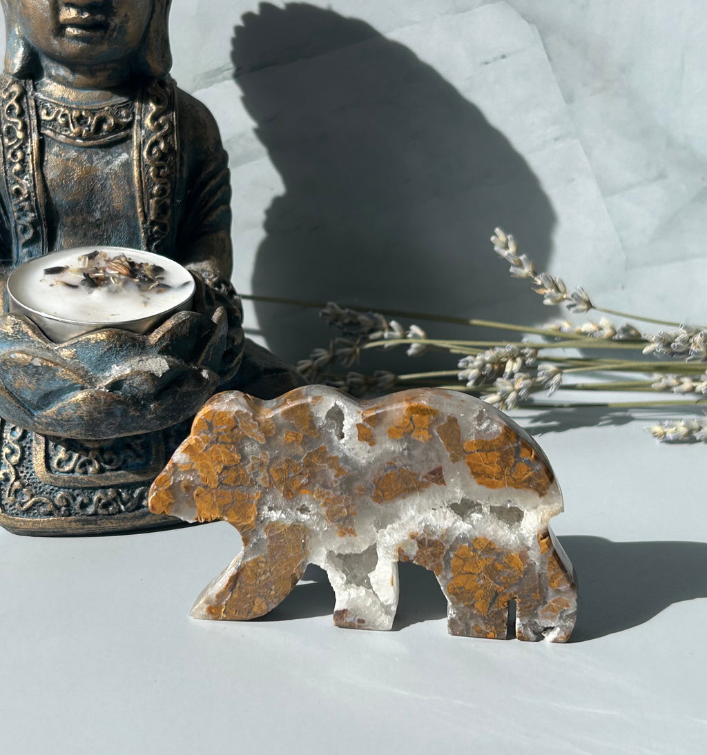 Septarian Bear with Druzy