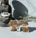 Septarian Bear with Druzy