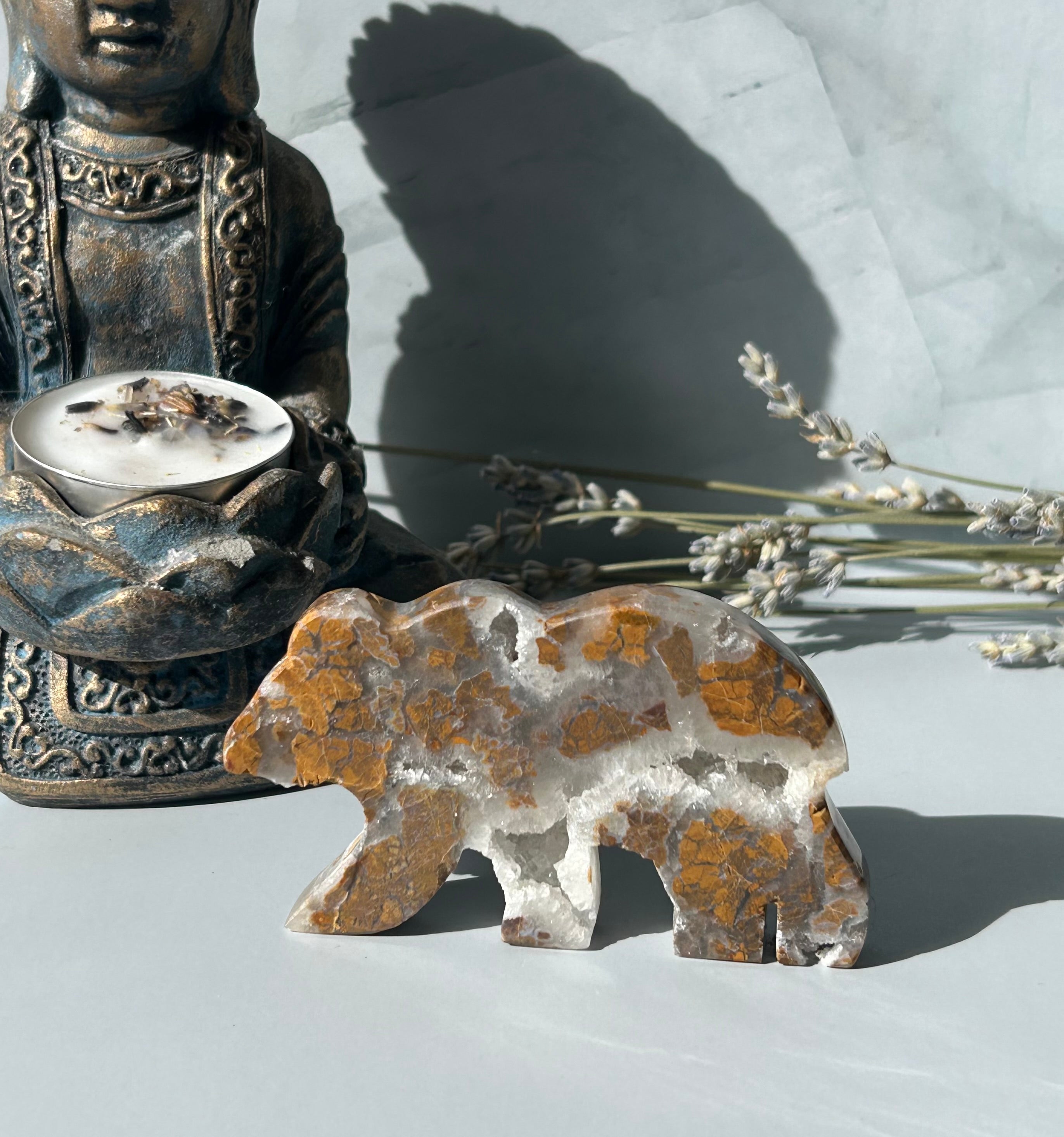 Septarian Bear with Druzy