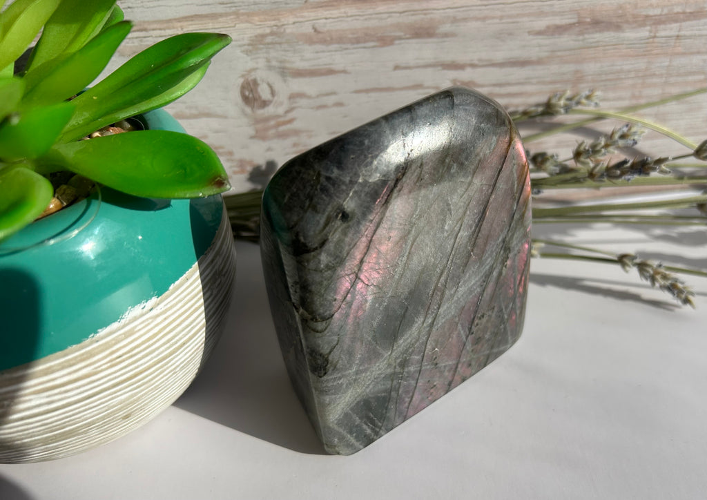 Purple Flash Labradorite Freeform