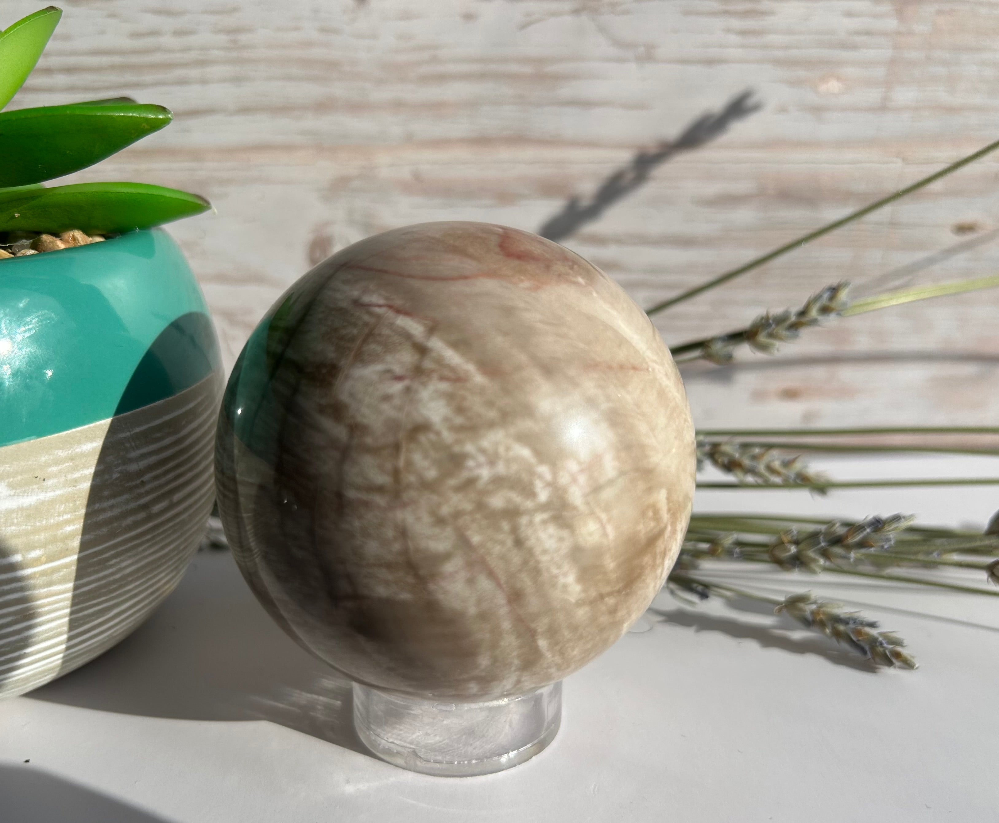 Petrified Wood Sphere