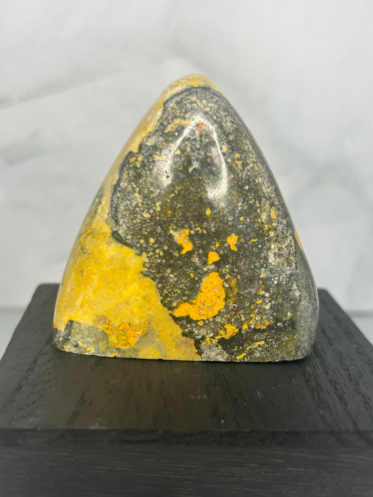 Bumblebee Jasper Freeform