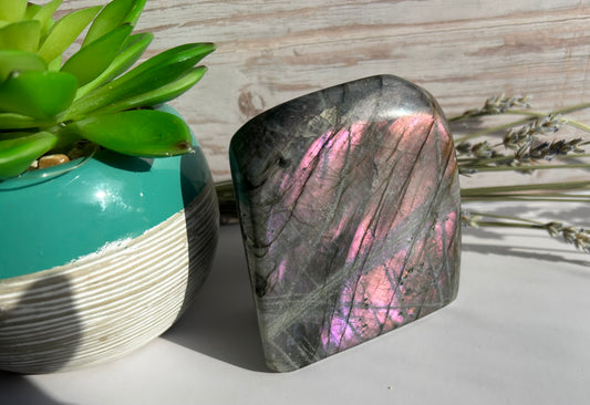 Purple Flash Labradorite Freeform - Intuition Protection Transformation