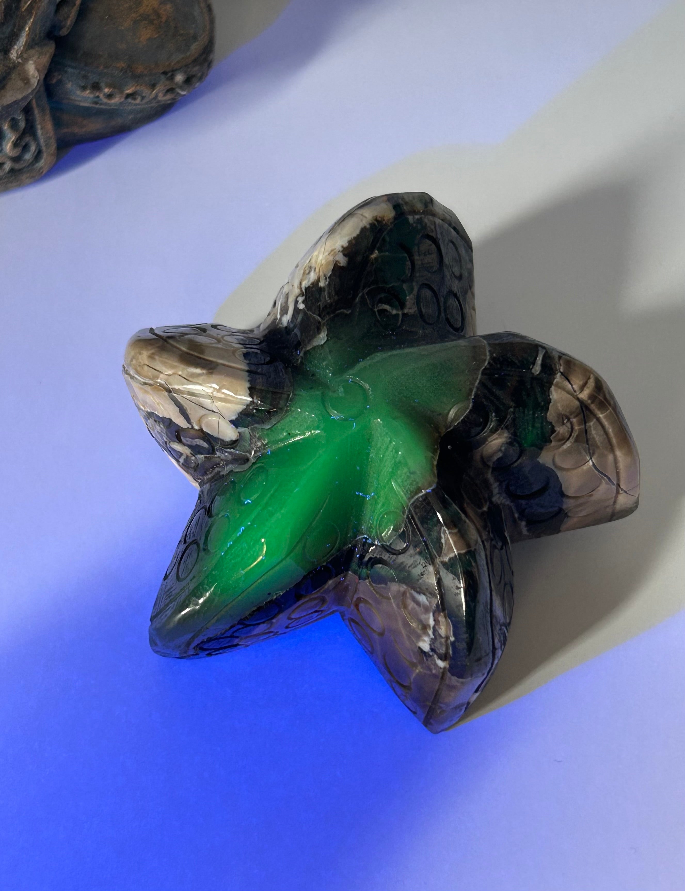 Volcano Agate Starfish