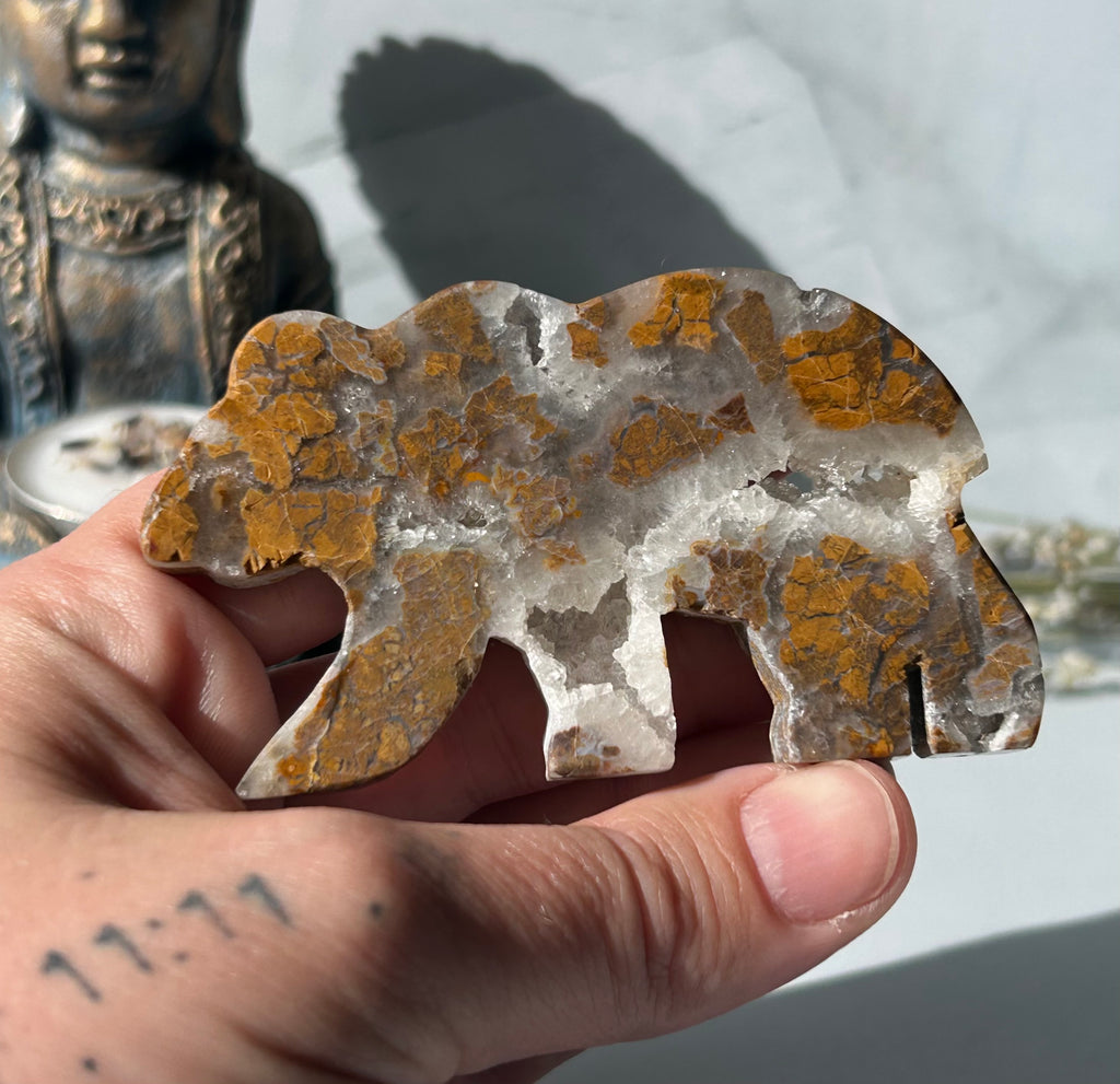 Septarian Bear with Druzy