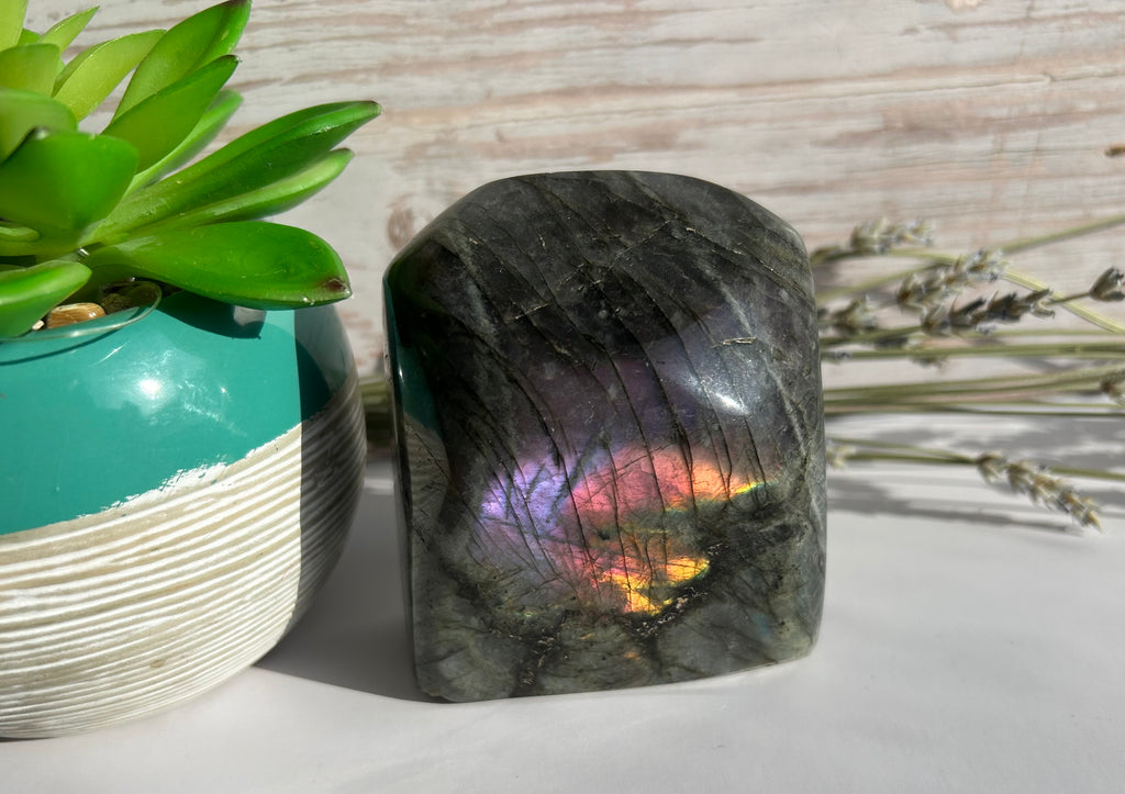 Purple Flash Labradorite Freeform