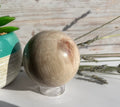 Petrified Wood Sphere