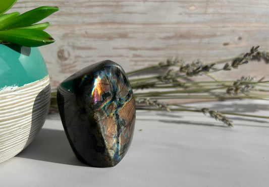 Labradorite Freeform - Intuition Protection Transformation