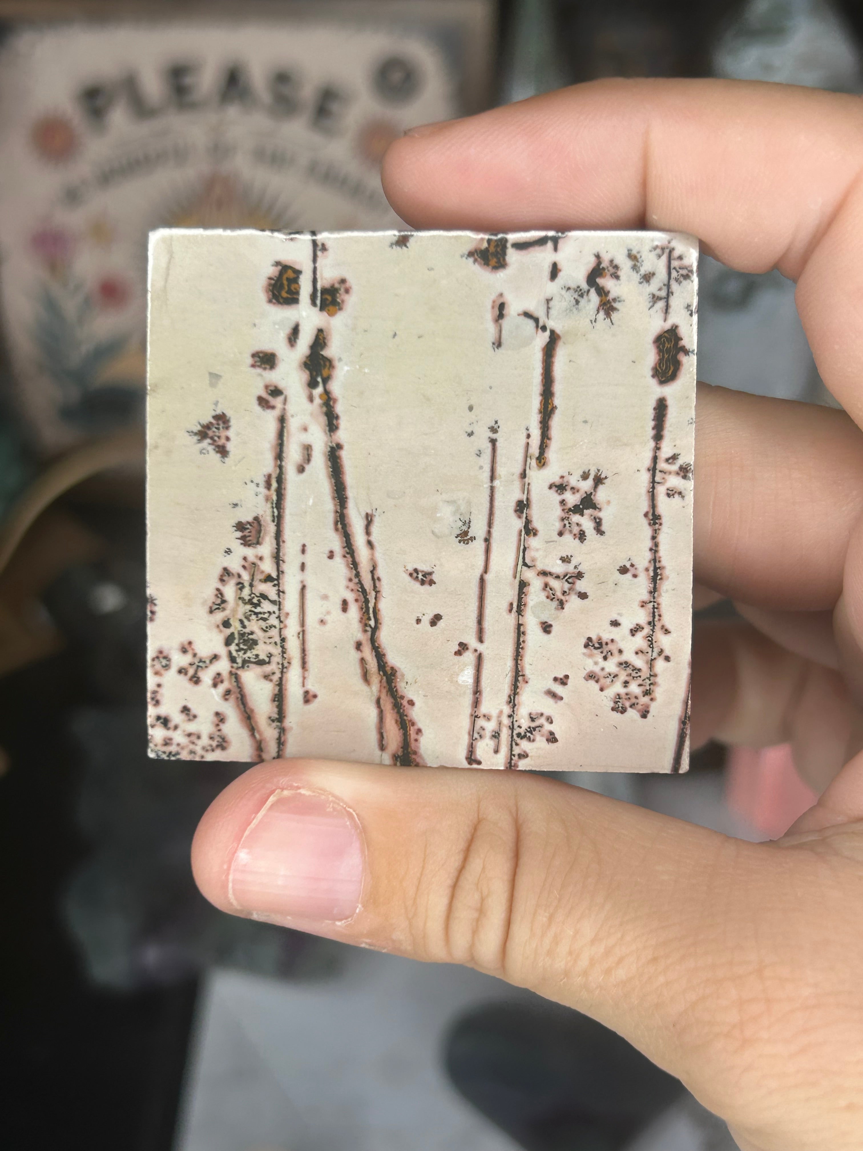 Dendritic Picture Jasper Square