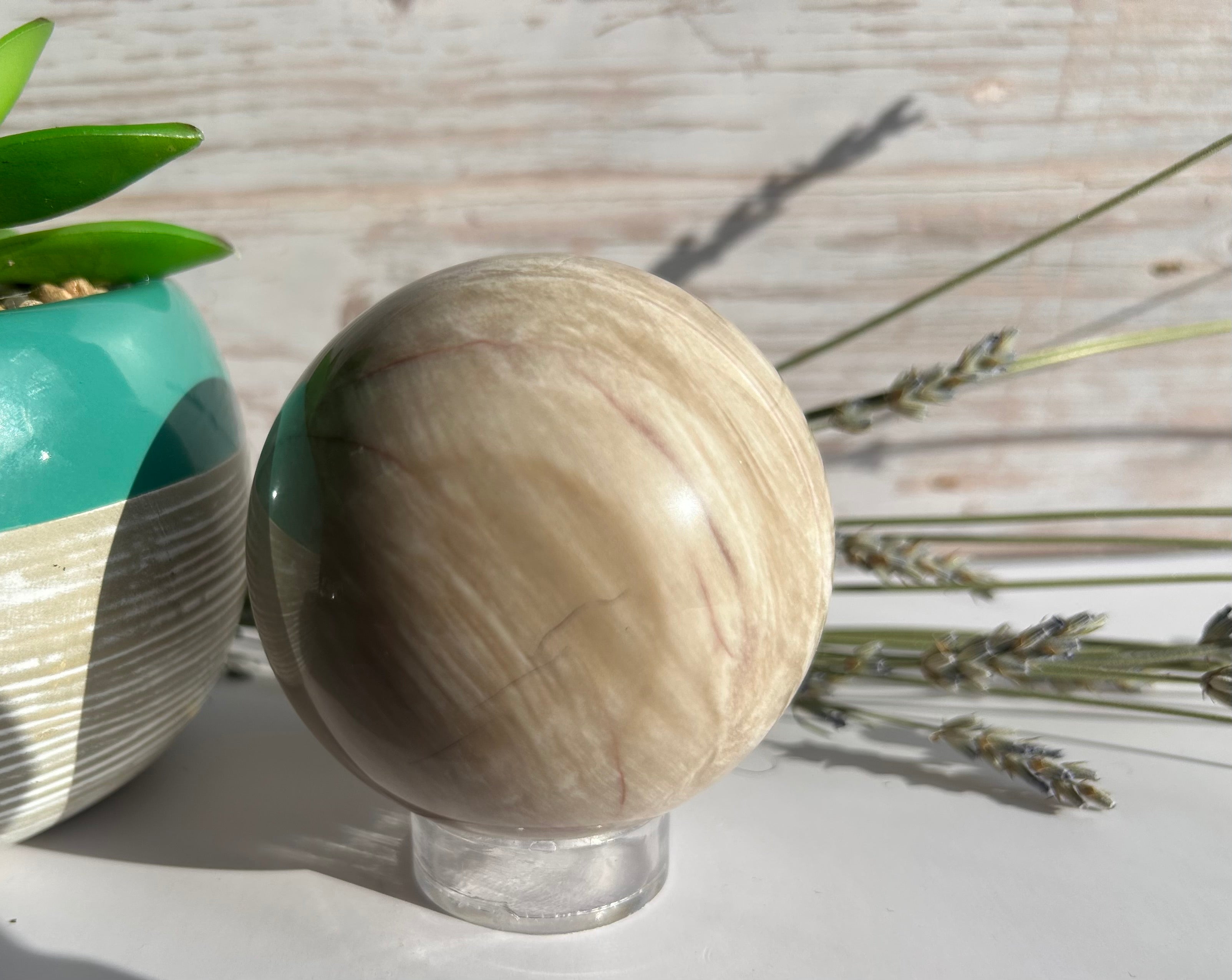 Petrified Wood Sphere