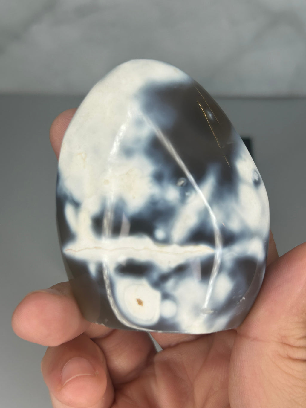 Orca Agate Freeform