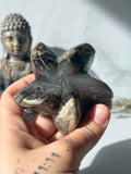 Volcano Agate Starfish