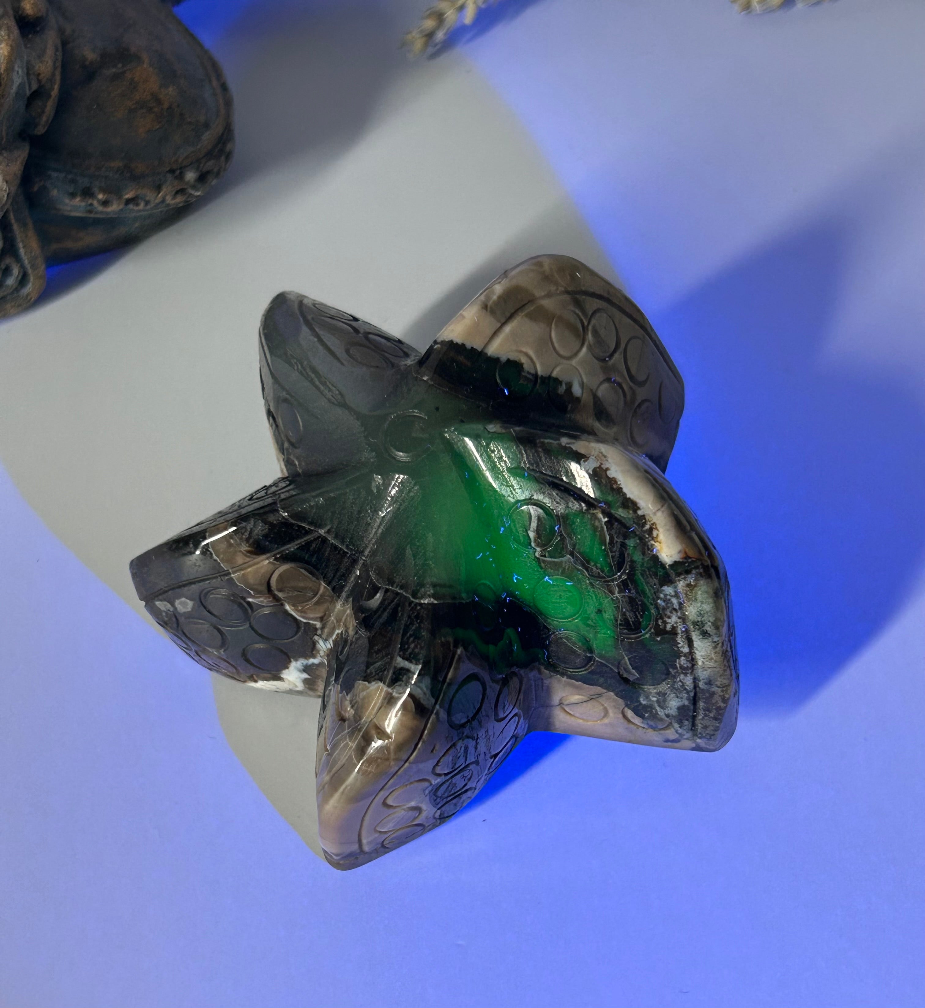 Volcano Agate Starfish