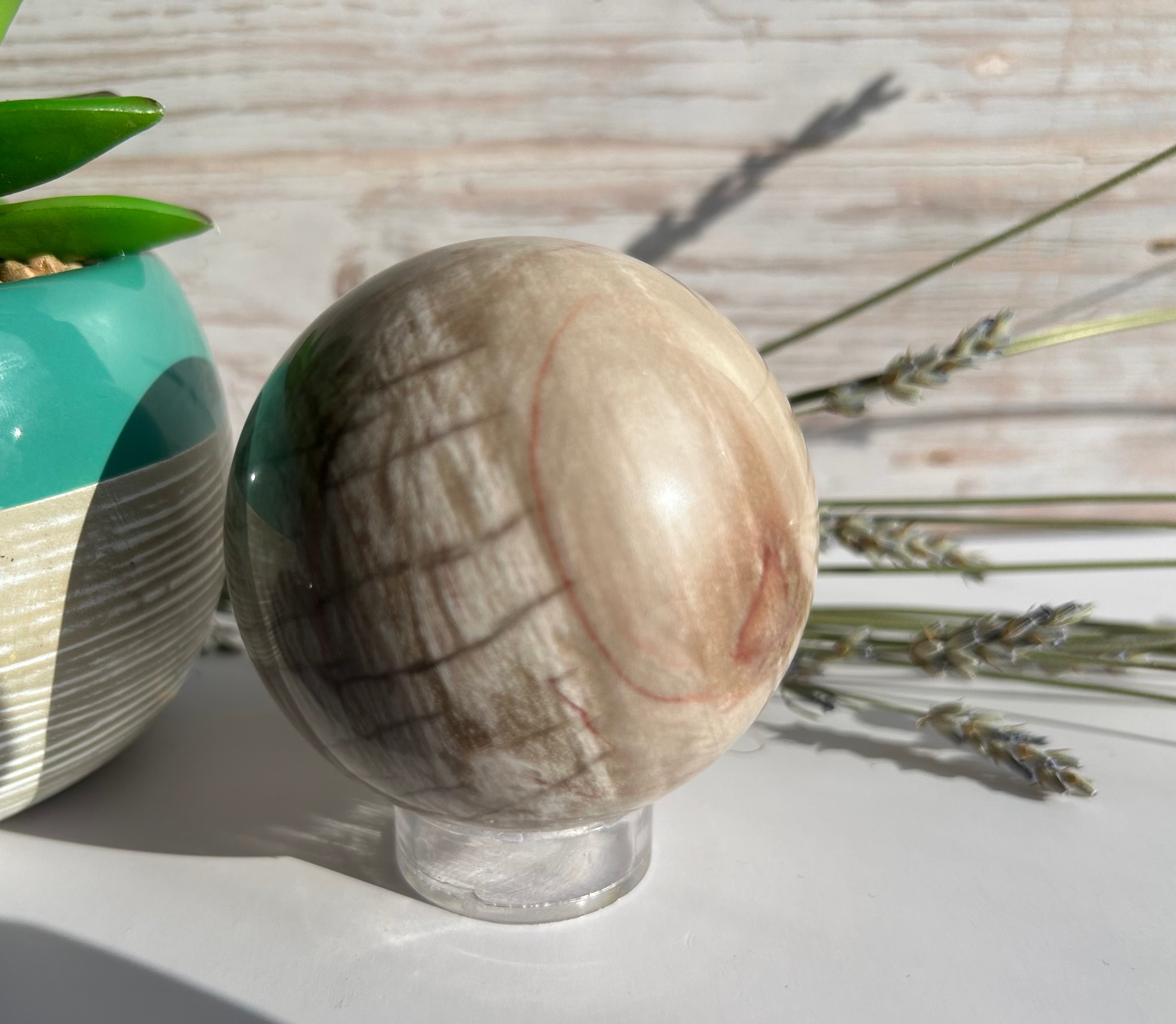 Petrified Wood Sphere