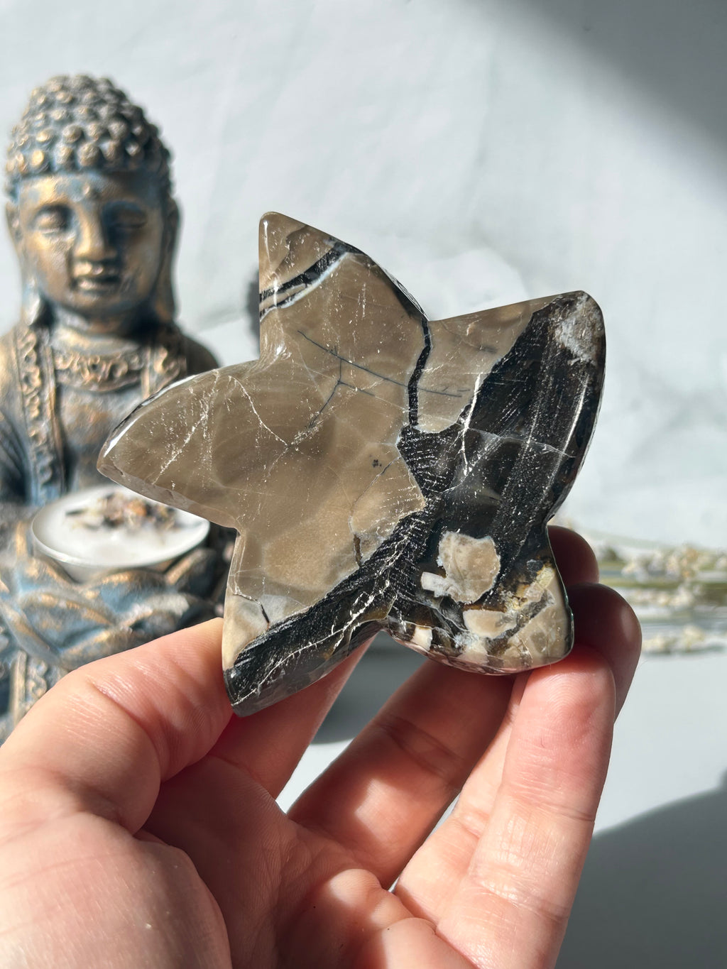 Volcano Agate Starfish