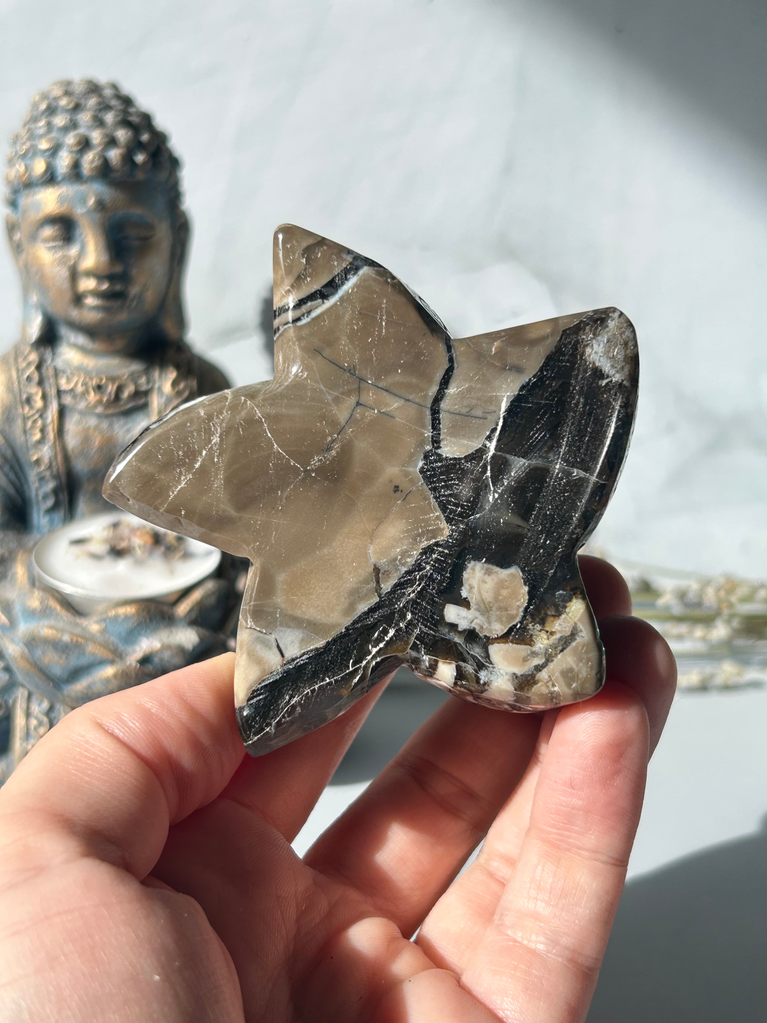 Volcano Agate Starfish
