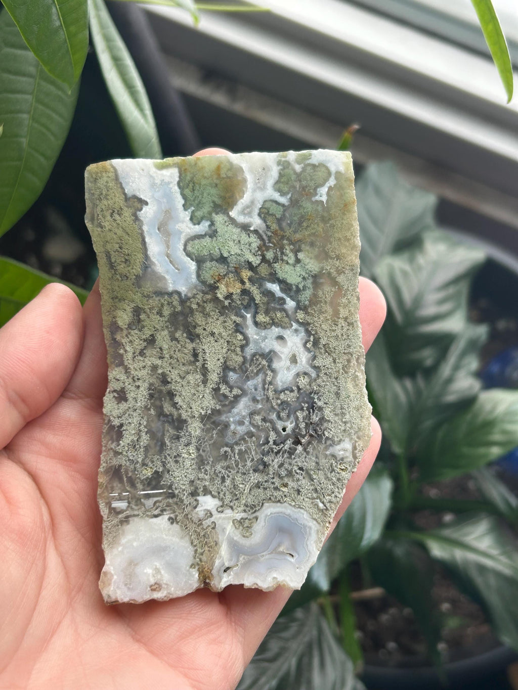 Moss Agate Slab