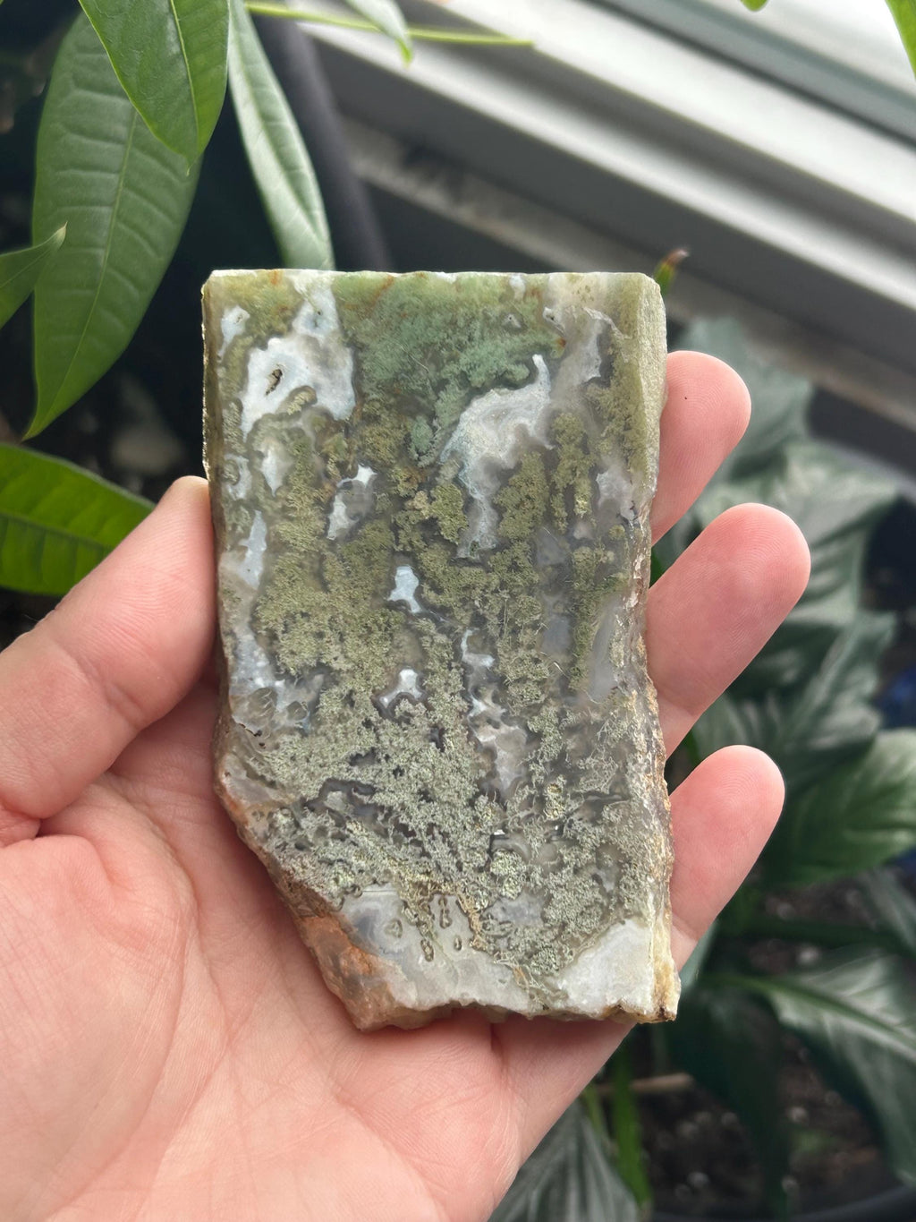 Moss Agate Slab